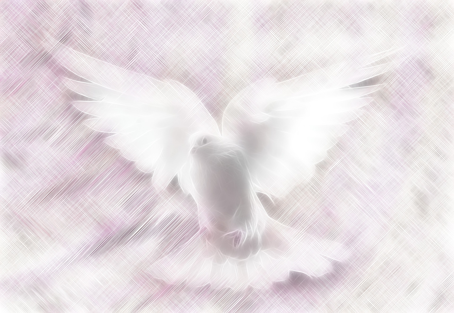 Dove